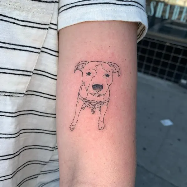 Animal