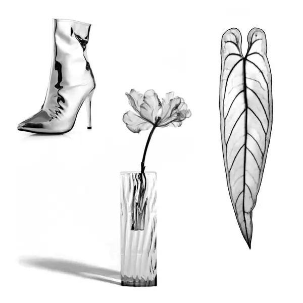 plantsnpokes