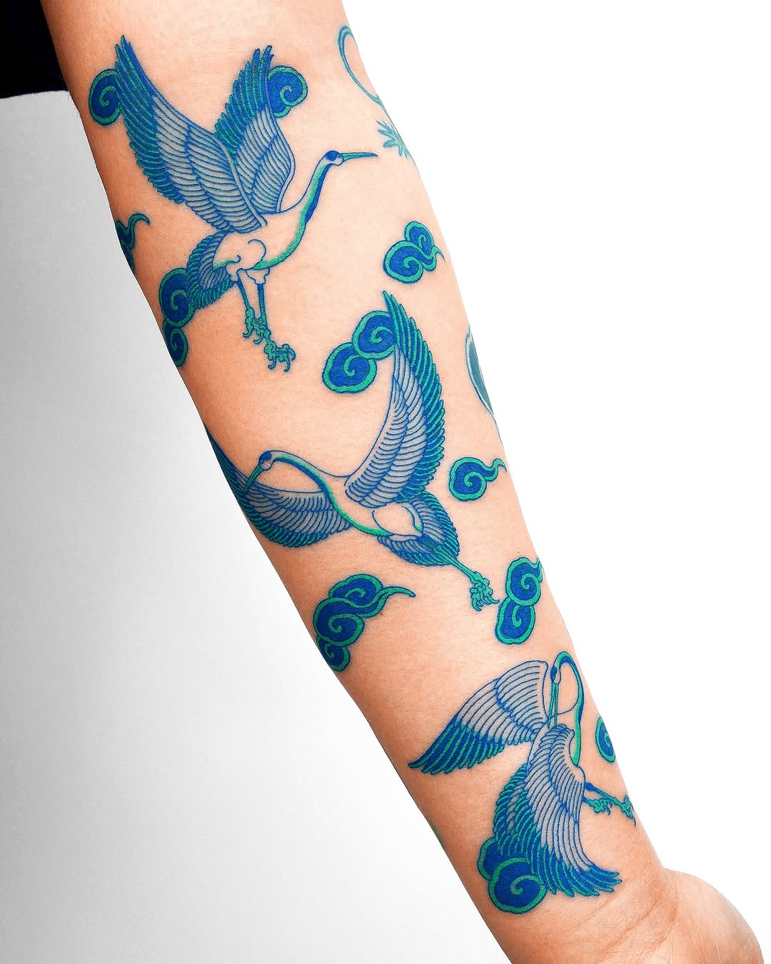 nobodytattoo