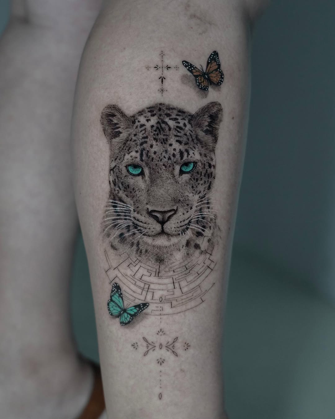 Animal, 표범, 재규어, 치타