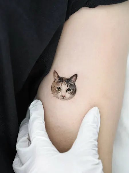 Animal