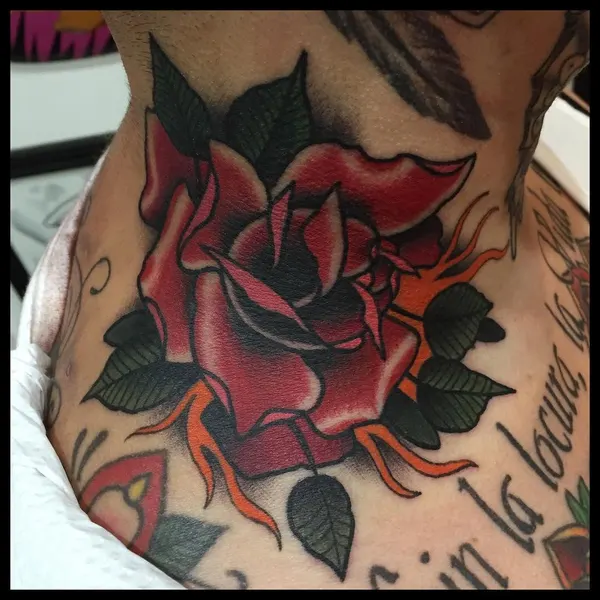Flower, Rose, Nature