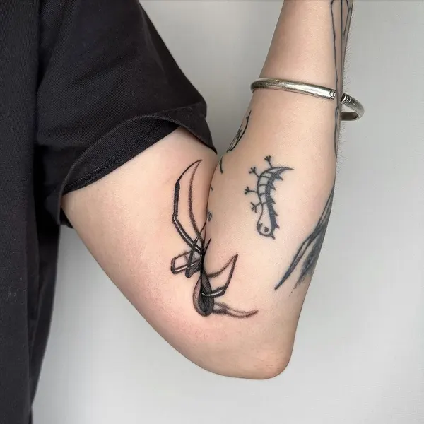 Animal, 거미