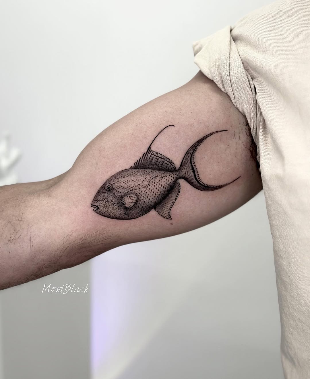 Animal