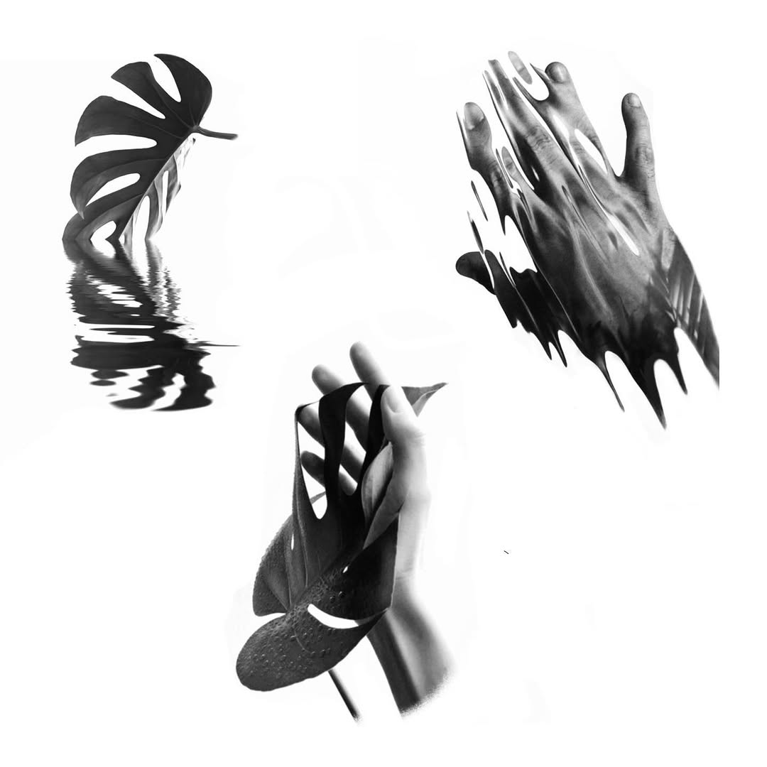 plantsnpokes