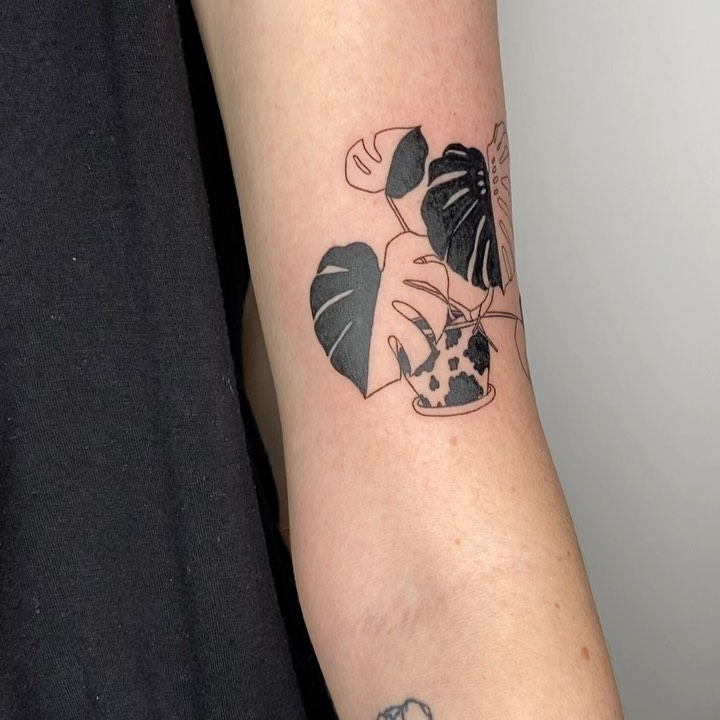 plantsnpokes