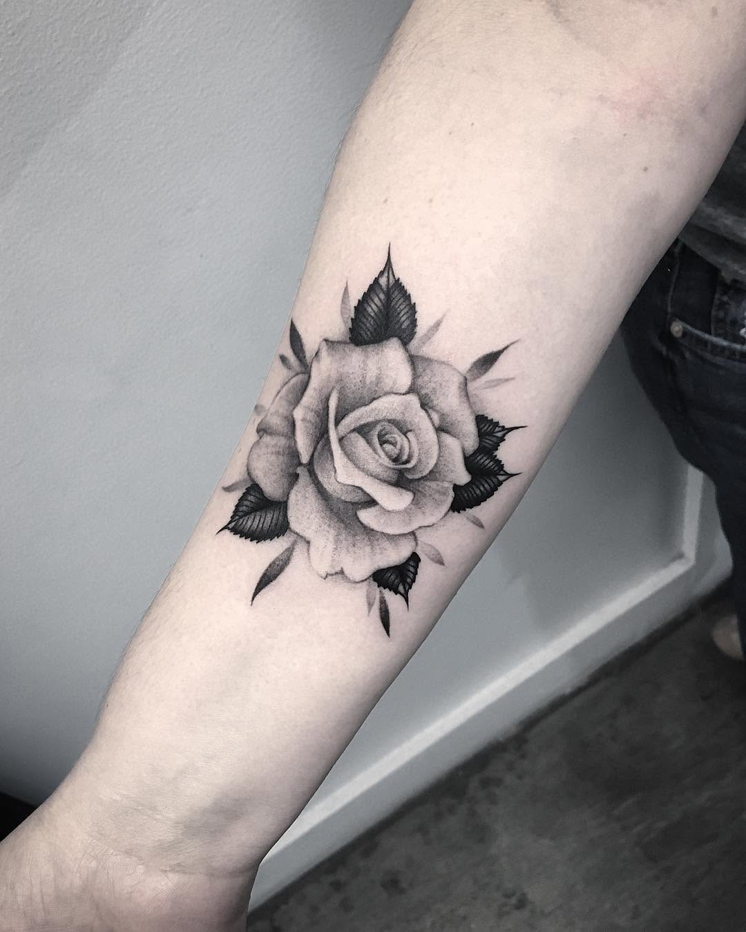 Flower, Rose