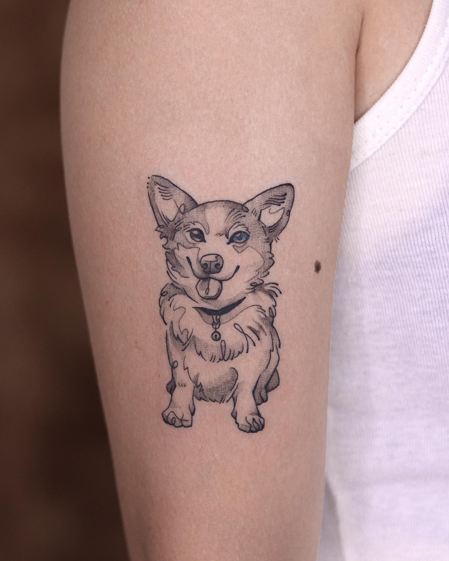 fawn.ink