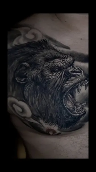 Animal, Tiger