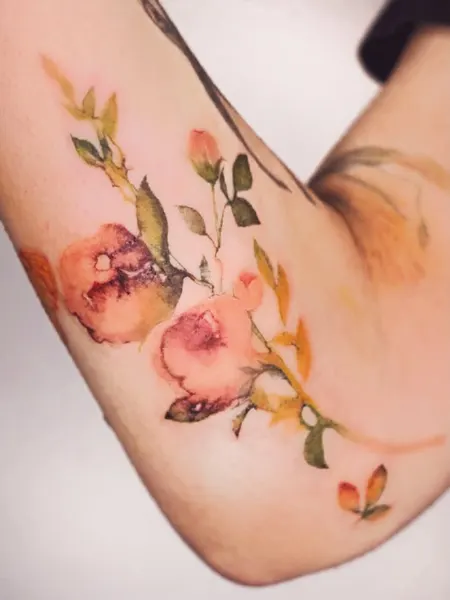 Flower, Rose, 벚꽃