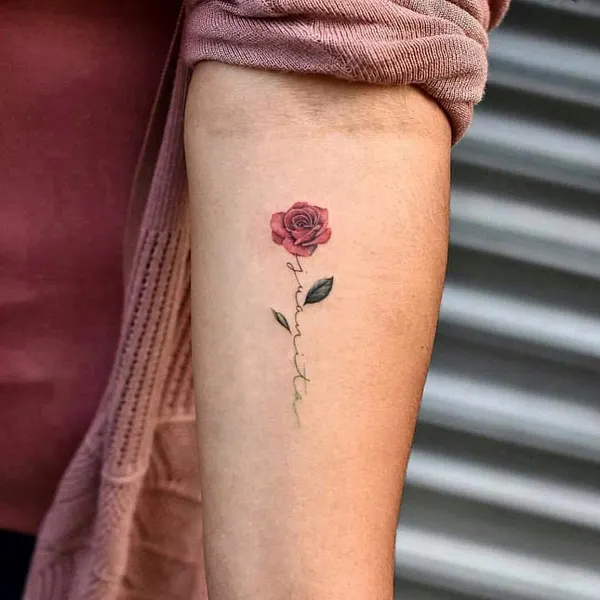 Flower, Rose