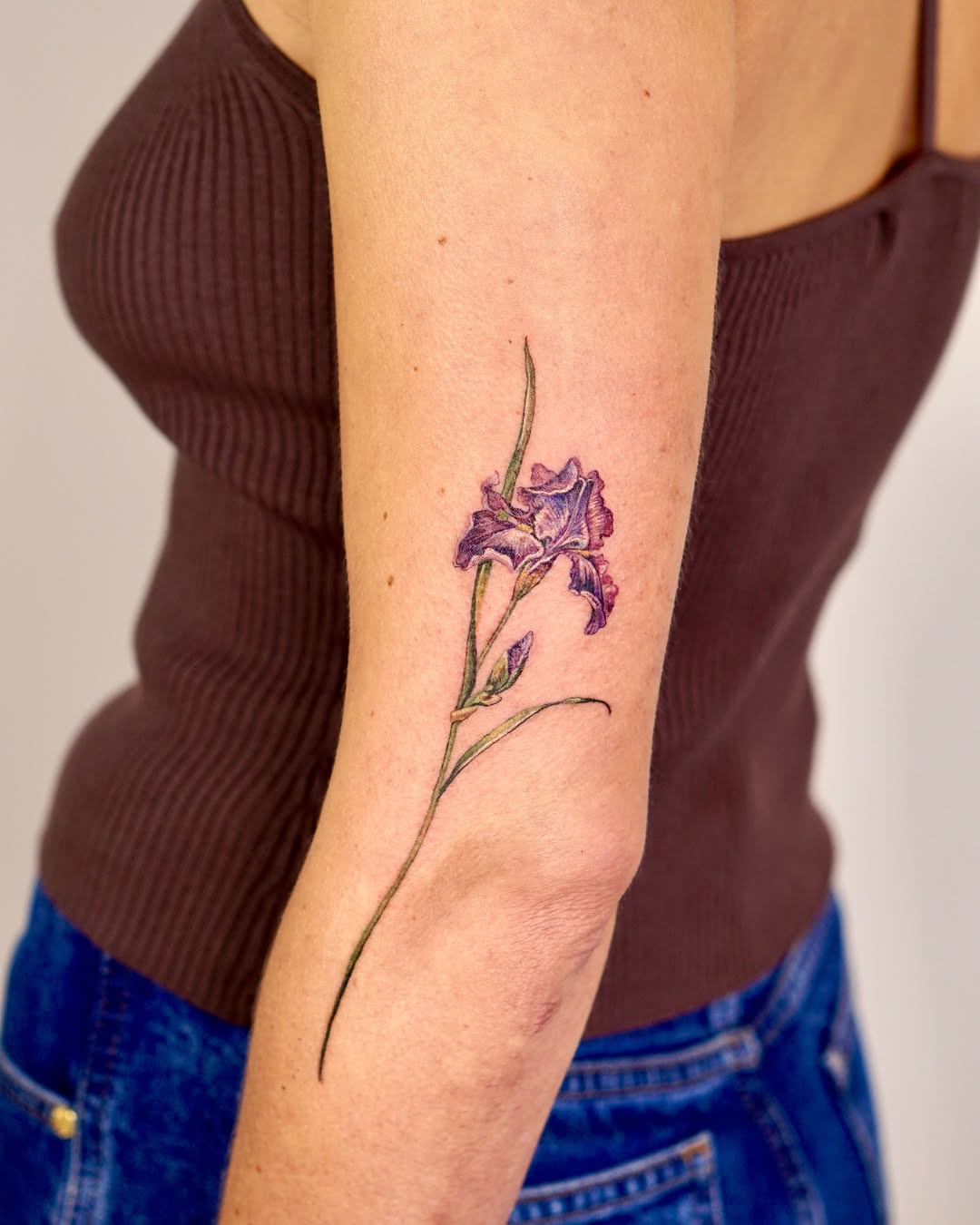 Flower, 난초, 아이리스, 라벤더