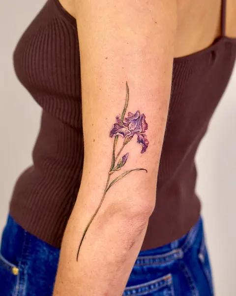 Flower, 난초, 아이리스, 라벤더