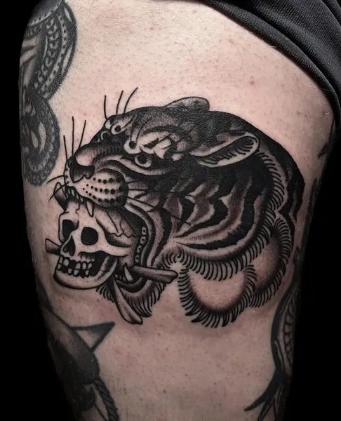Tiger, Animal
