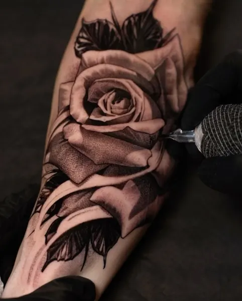 Flower, Rose