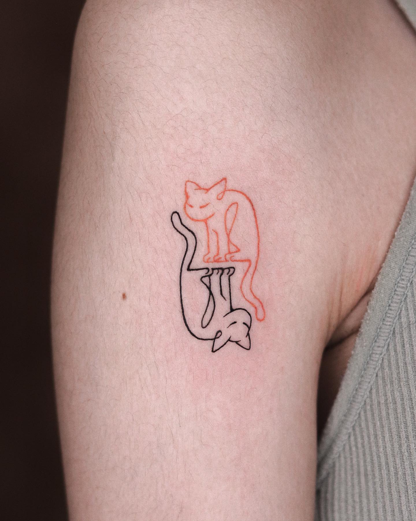 fawn.ink