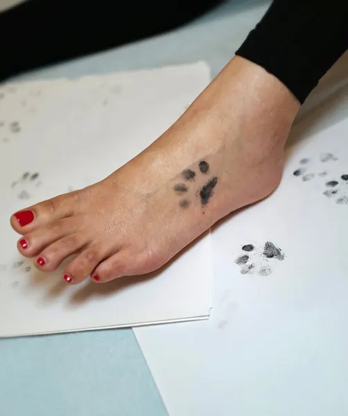 paw.tattoo