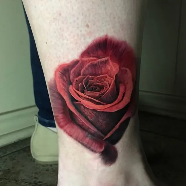Flower, Rose