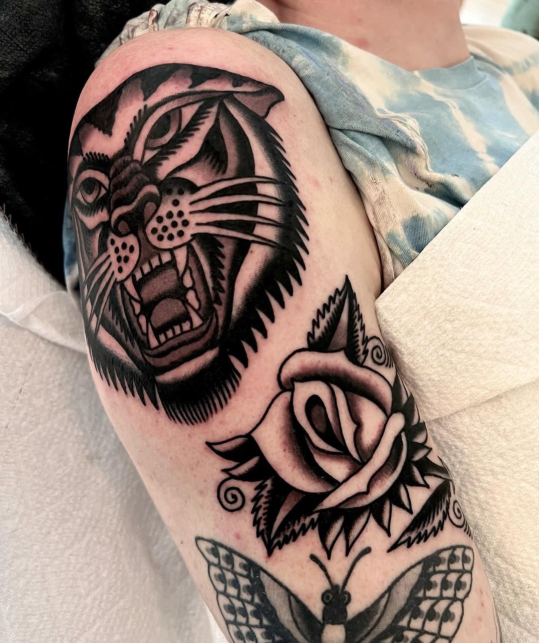 Tiger, Animal