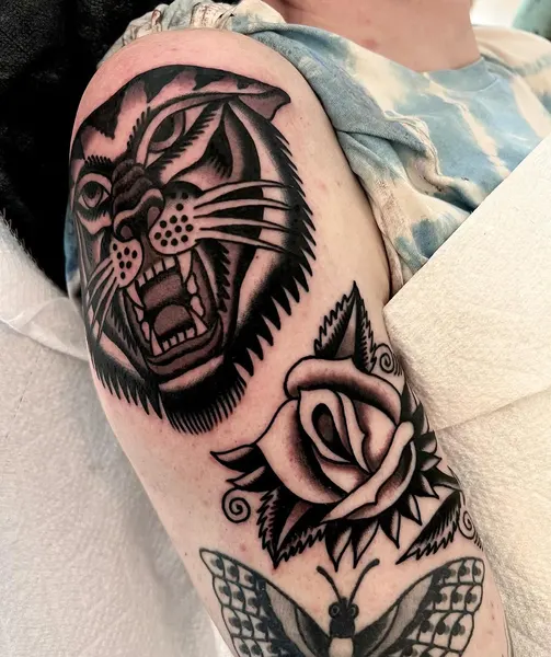 Tiger, Animal