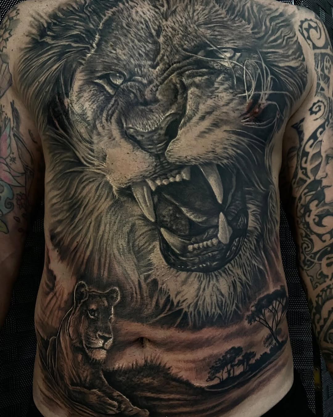 Tiger