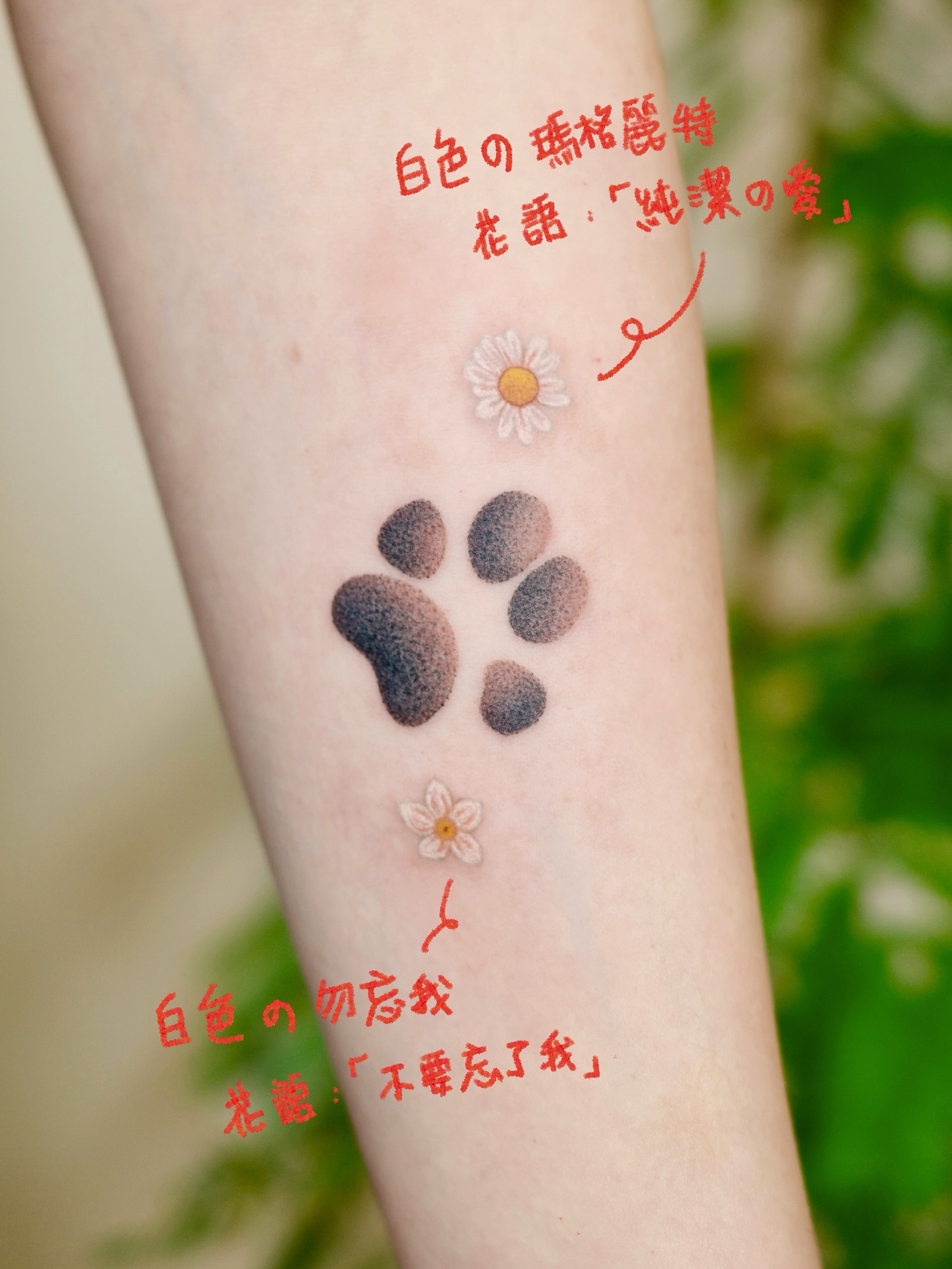 발자국, Animal