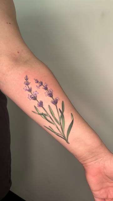 Flower, 라벤더, 허브