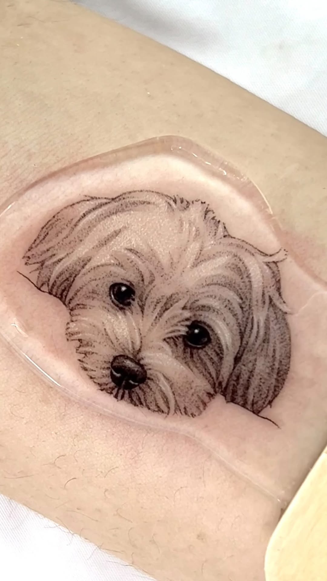 dorok.tattoo