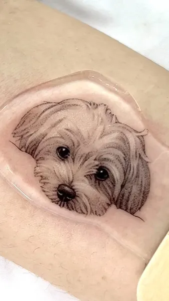 dorok.tattoo