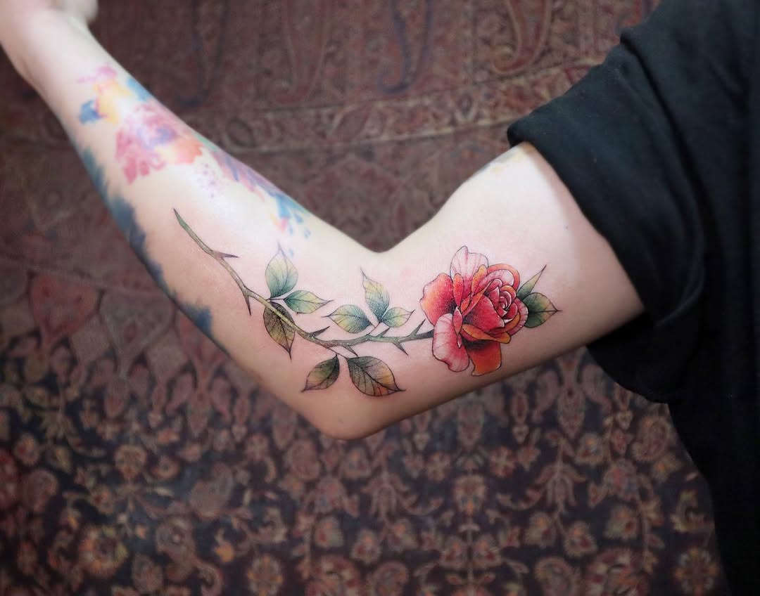 Flower, Rose