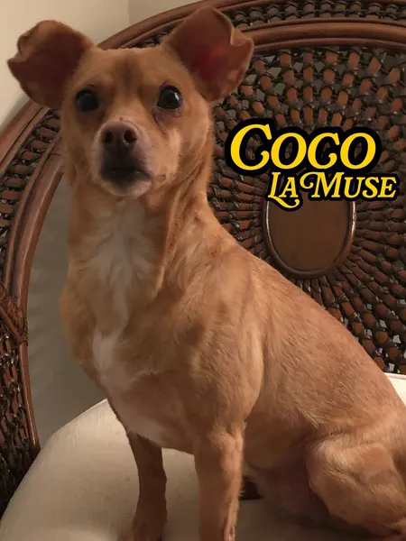 Roger Parrilla
