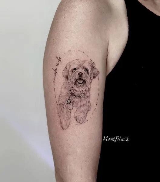 Animal