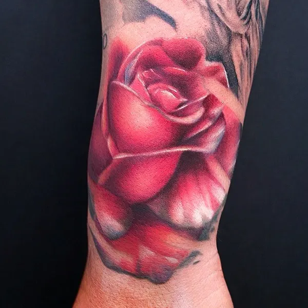 Flower, Rose