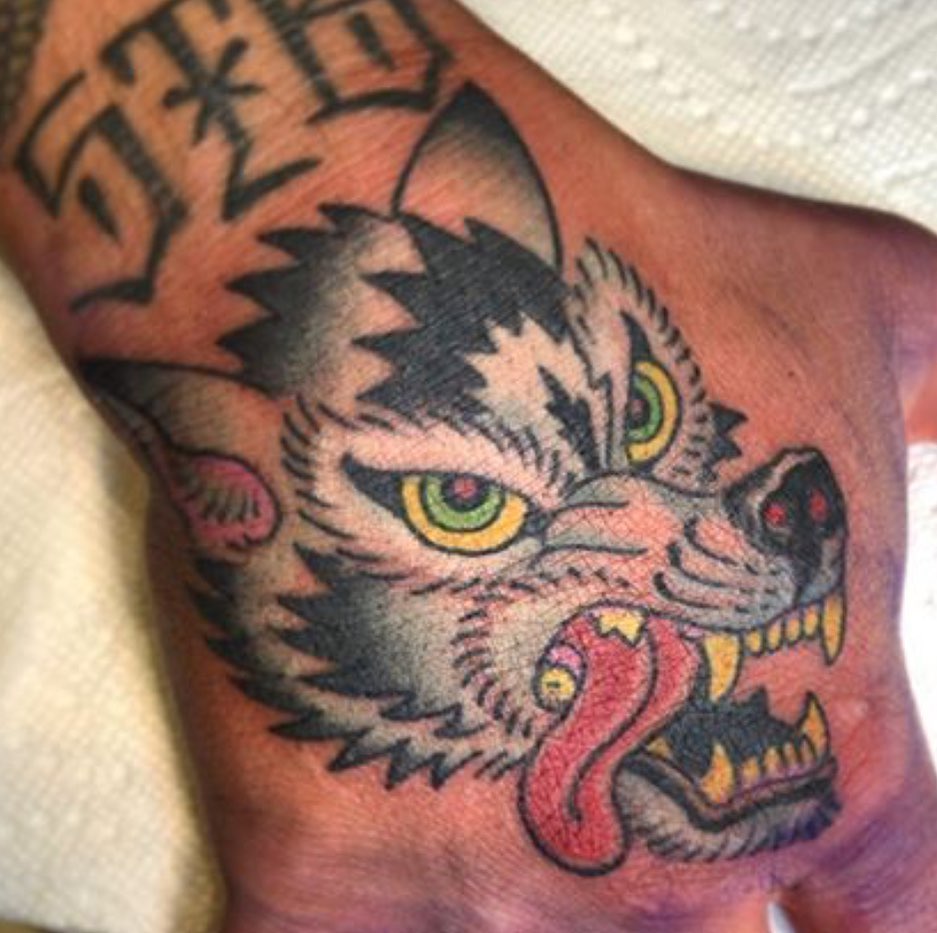 Tiger, Animal