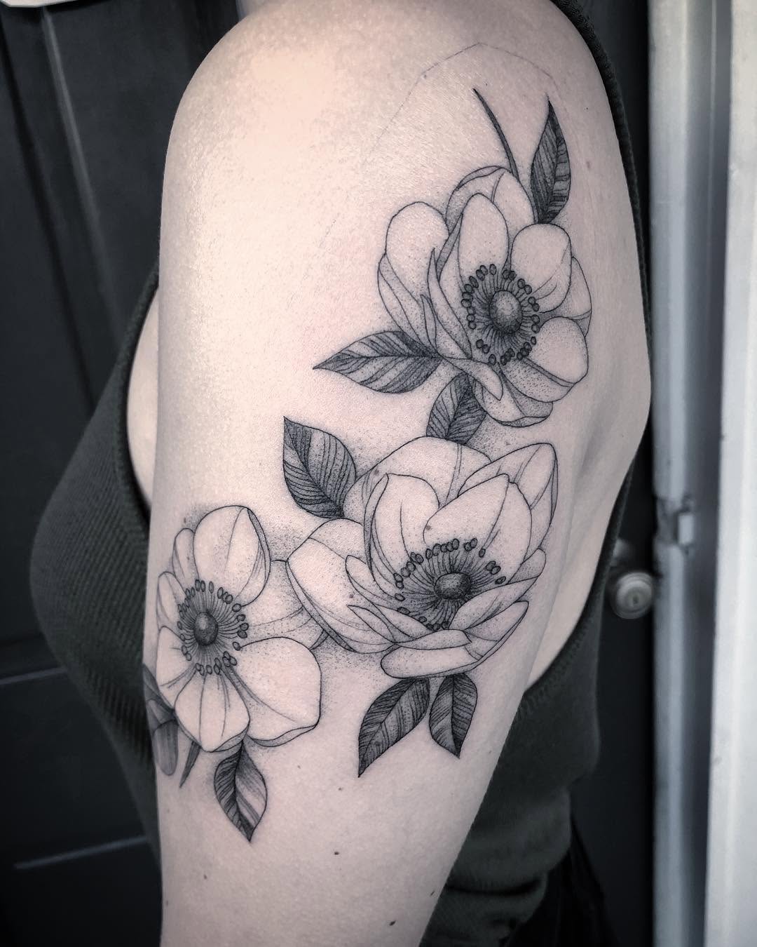 Flower, Rose