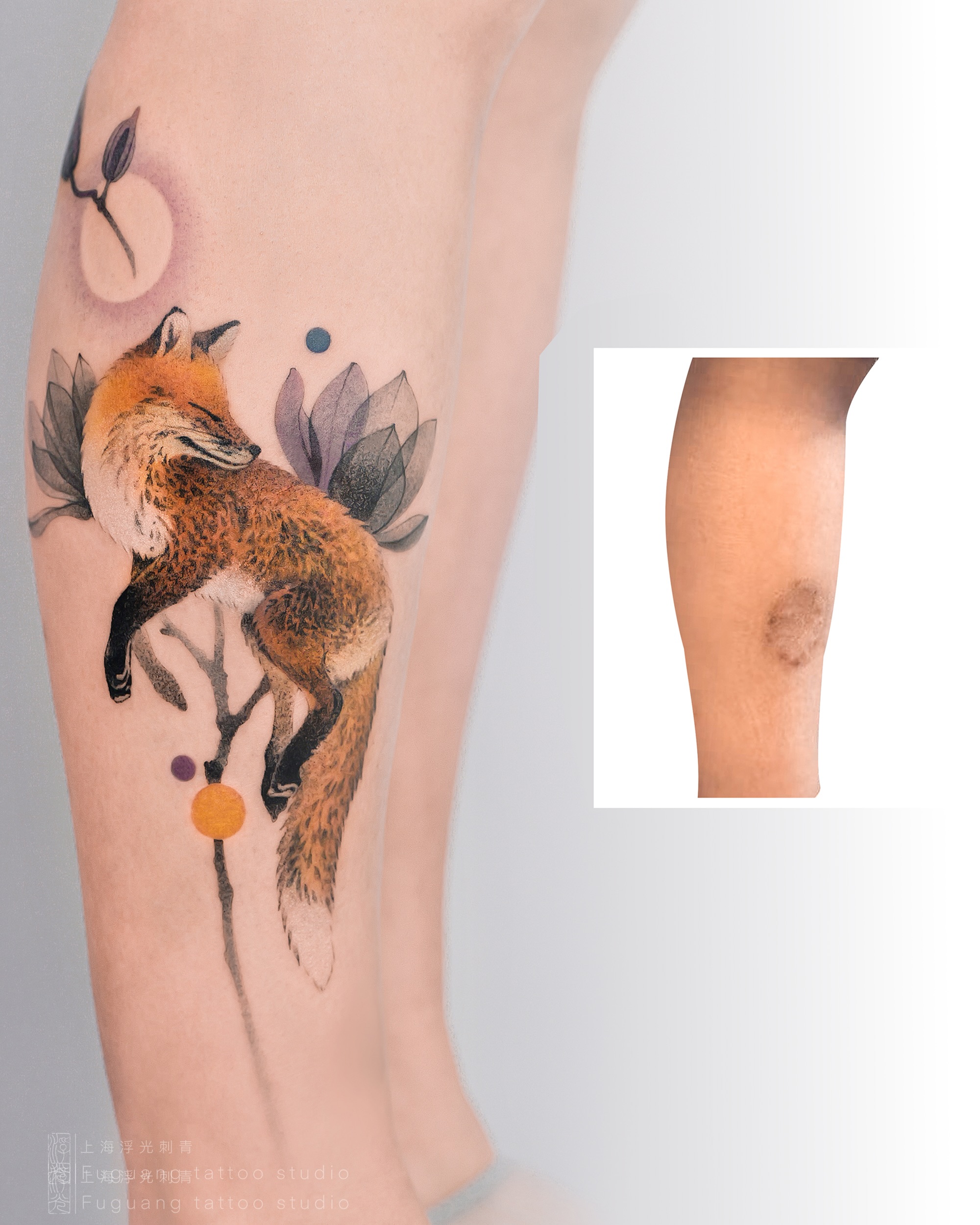 Animal, 여우