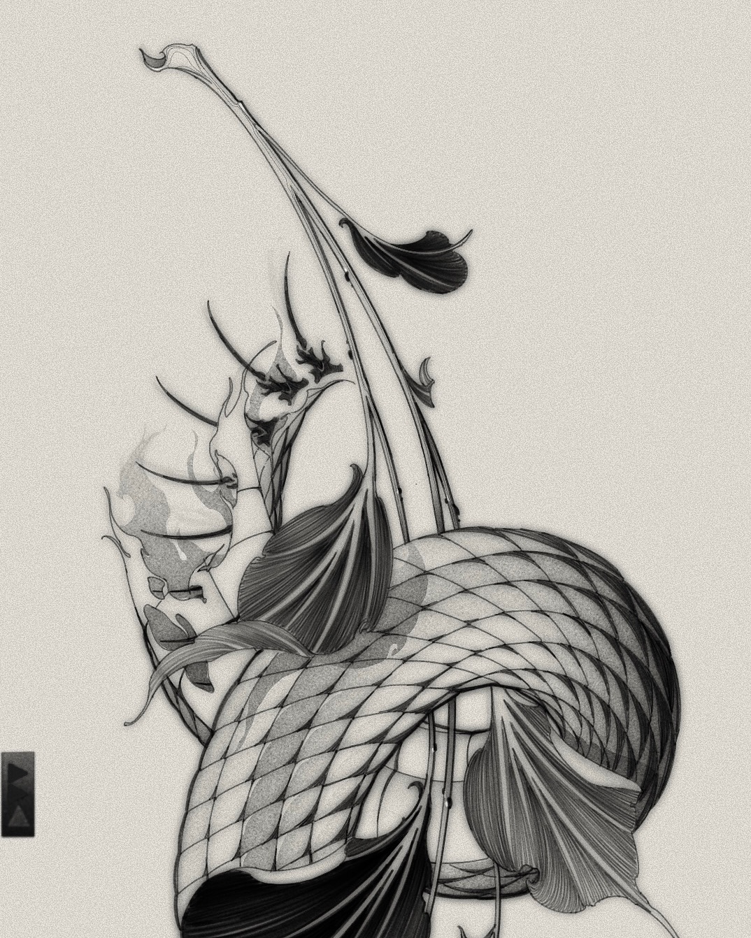 Snake, Dragon