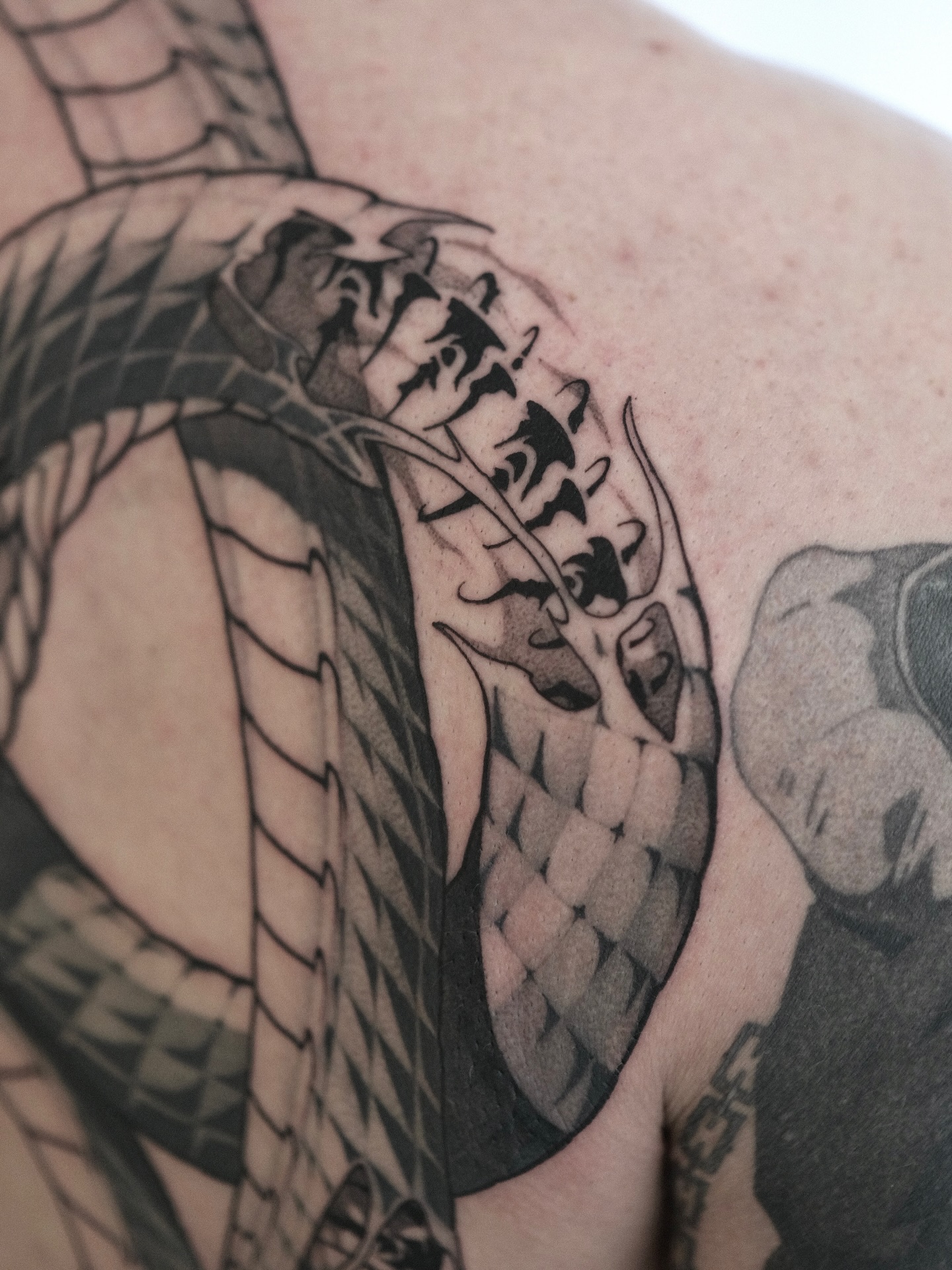 Dragon