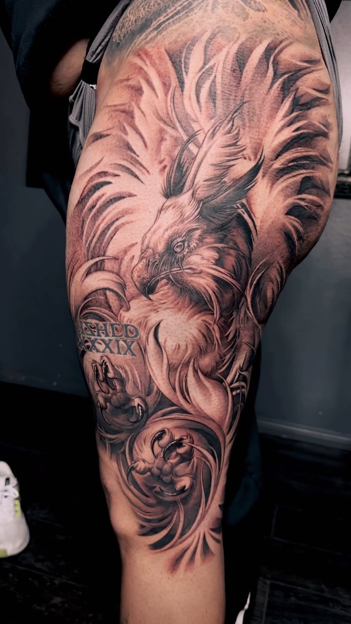Animal, 토끼
