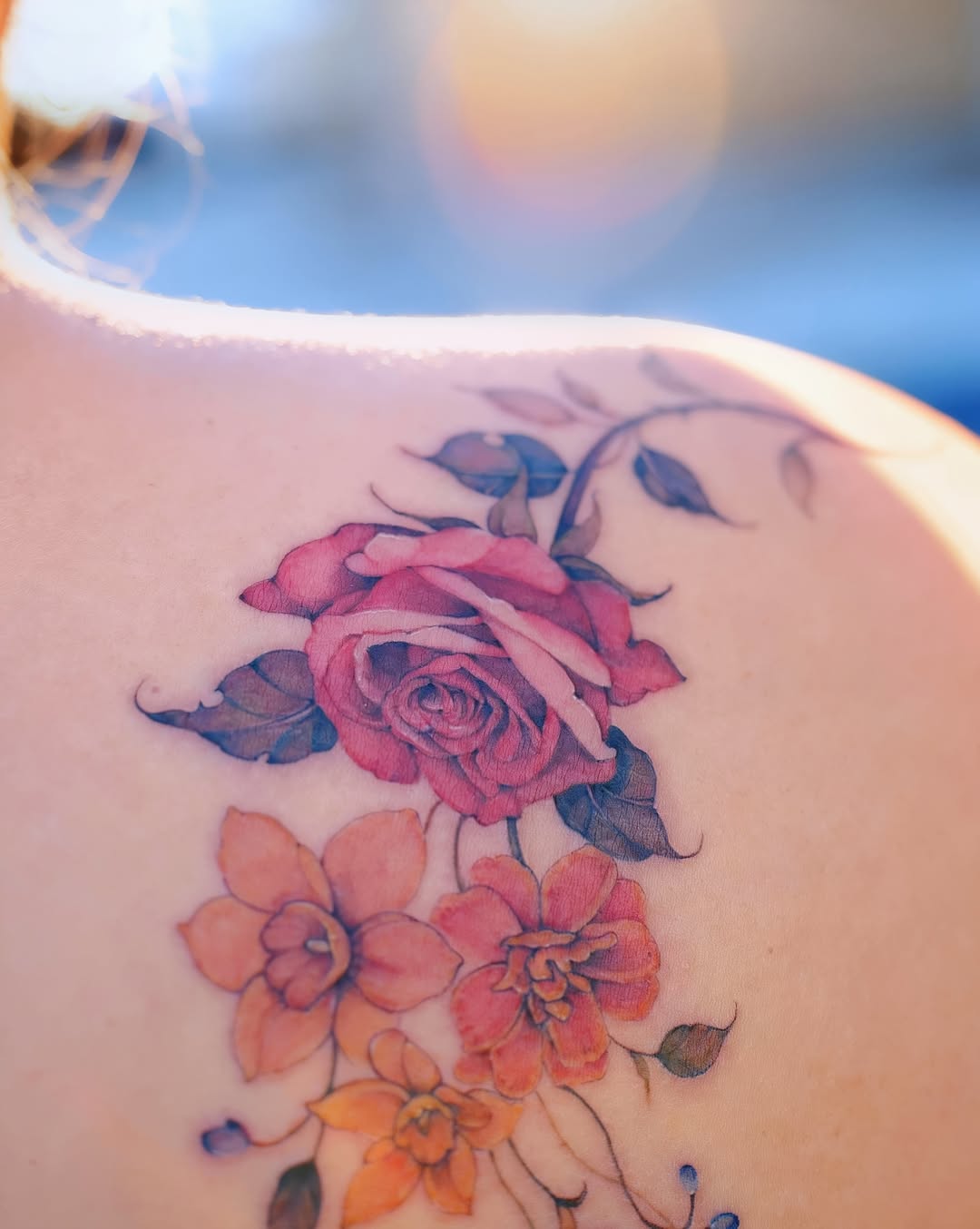 Flower, Nature, Rose