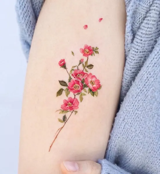 Flower, Rose