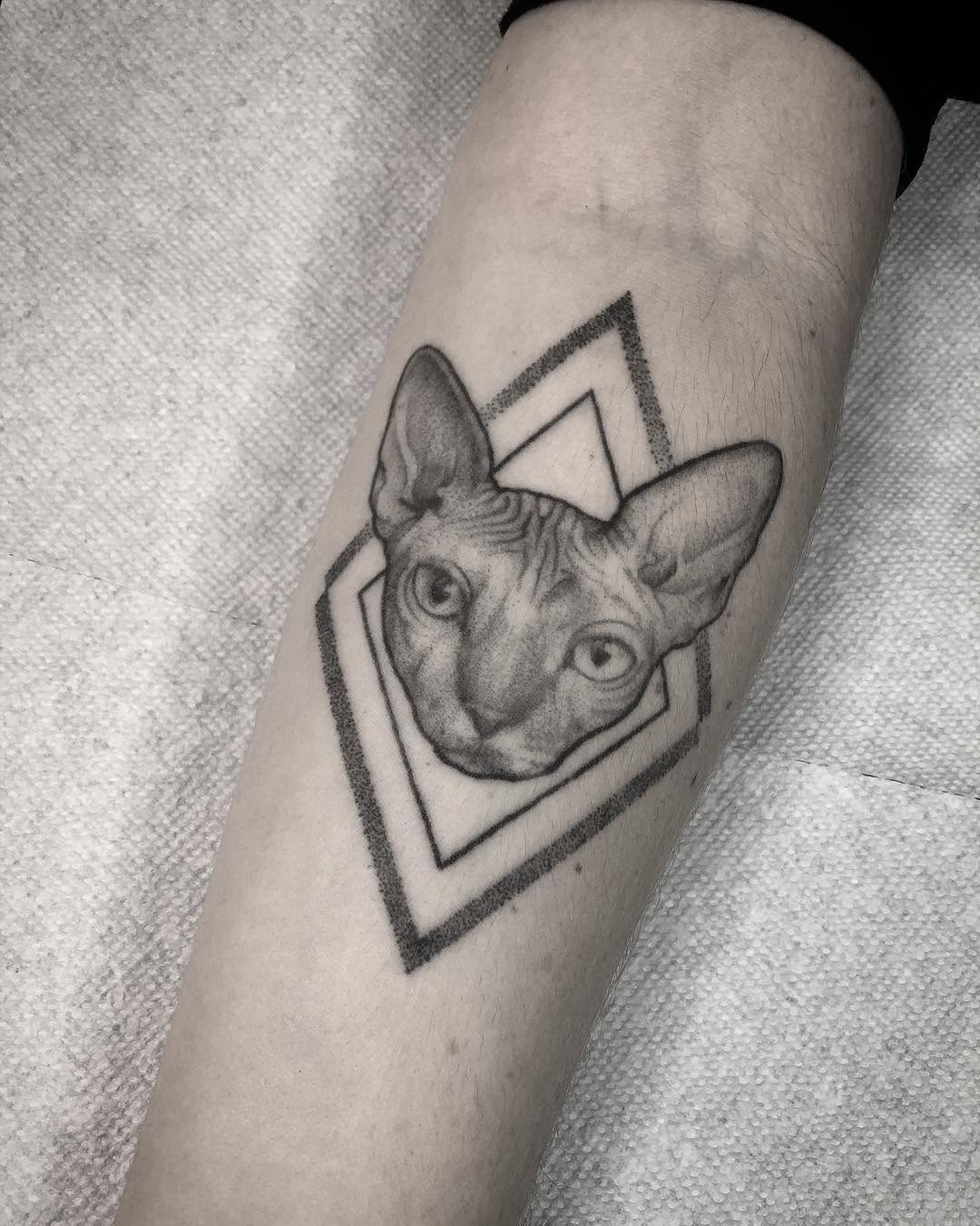 Animal