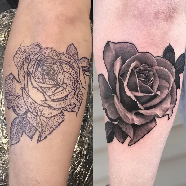 Flower, Rose
