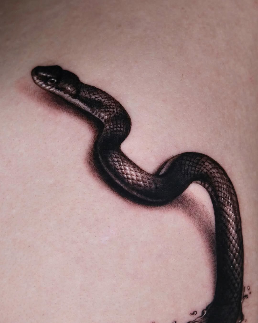 40.tatt