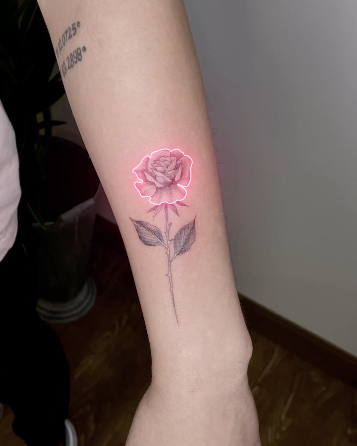 Flower, Rose