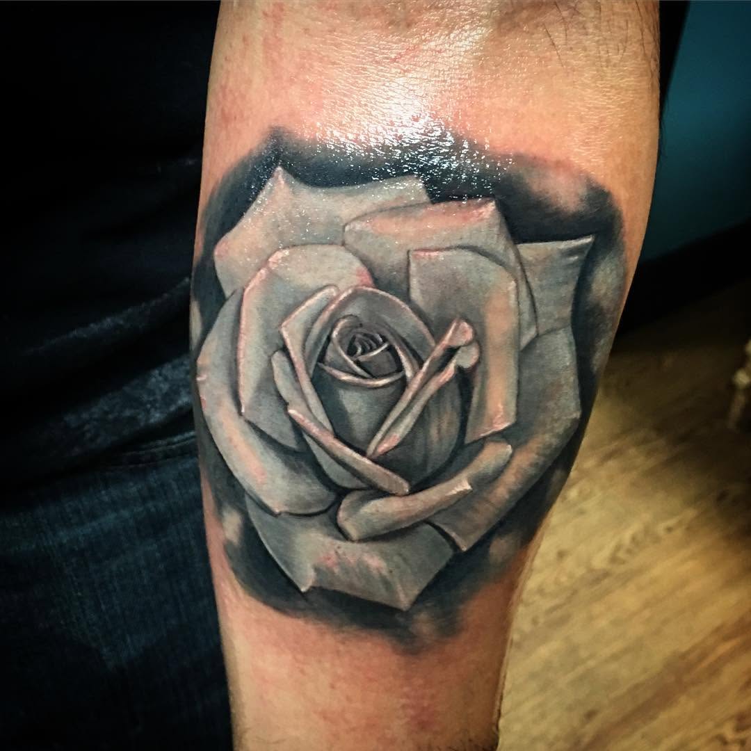 Flower, Rose