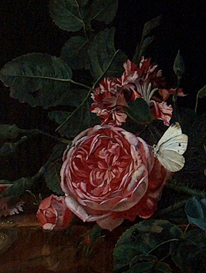Flower, Rose