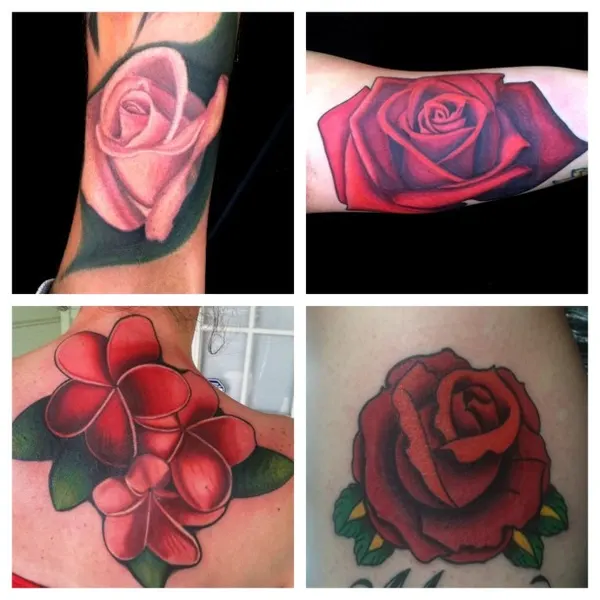 Flower, Rose