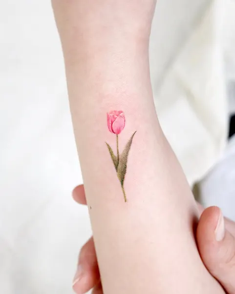 Flower, 아이리스, 백합, 난초, 튤립