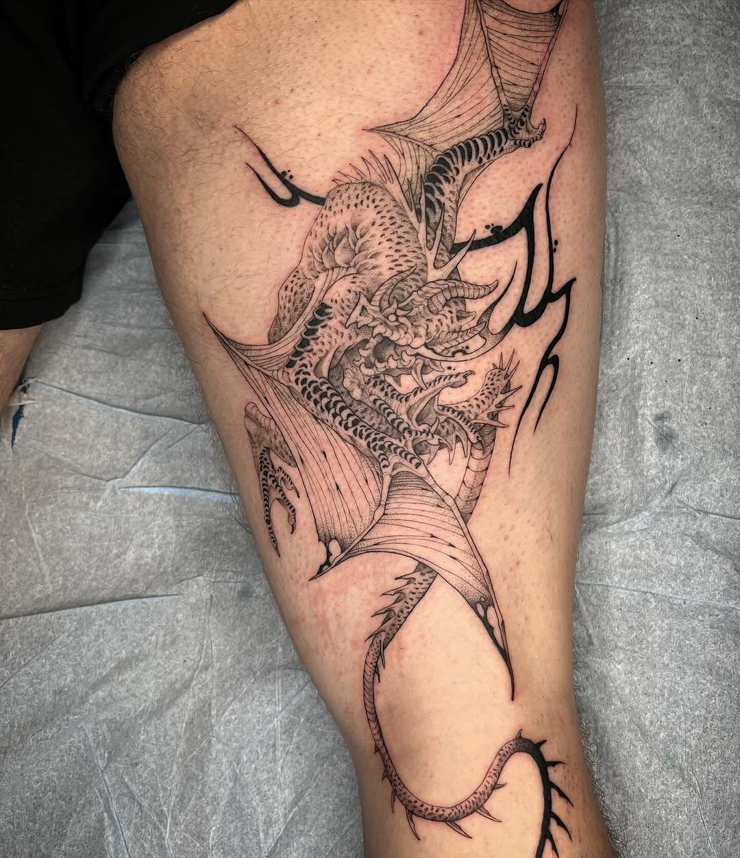Dragon